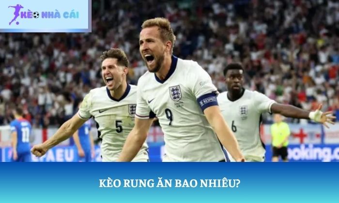 Kèo rung ăn bao nhiêu? Hướng dẫn tính tiền chỉ trong vài phút 1 Kèo rung ăn bao nhiêu?