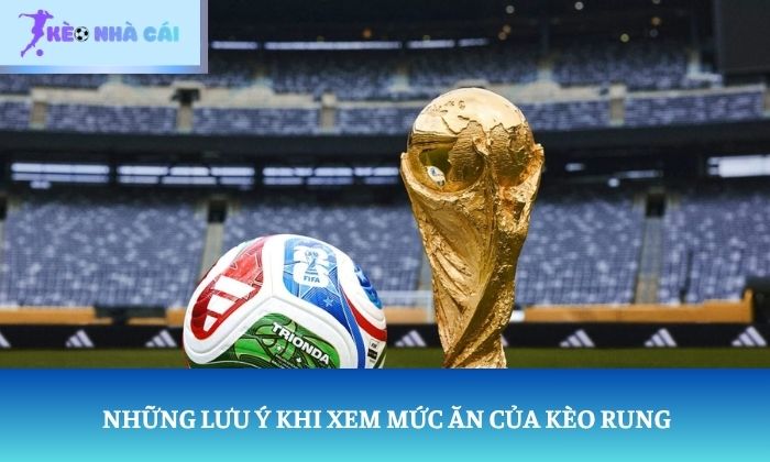 Kèo rung ăn bao nhiêu? Hướng dẫn tính tiền chỉ trong vài phút 4 Những lưu ý khi xem mức ăn của kèo rung
