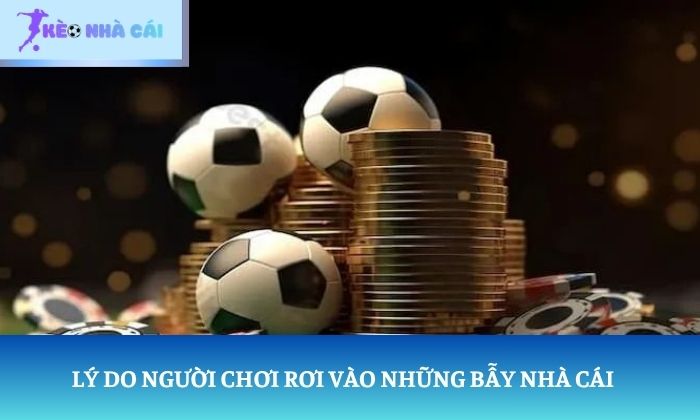 bẫy nhà cái thường gặp bẫy nhà cái thường gặp