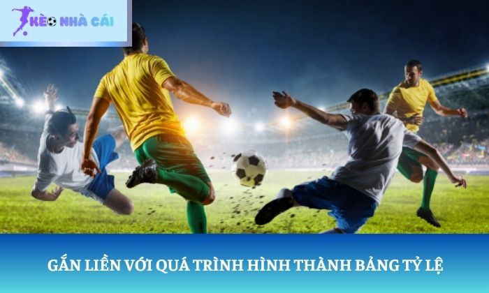 Gắn liền với quá trình hình thành bảng tỷ lệ