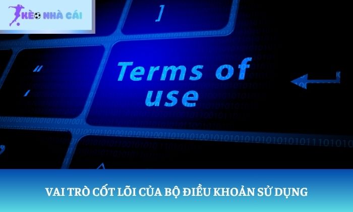 Điều khoản sử dụng Điều khoản sử dụng
