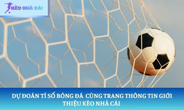 Giới thiệu kèo nhà cái Giới thiệu kèo nhà cái