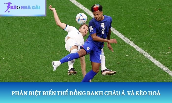kèo hòa kèo hòa